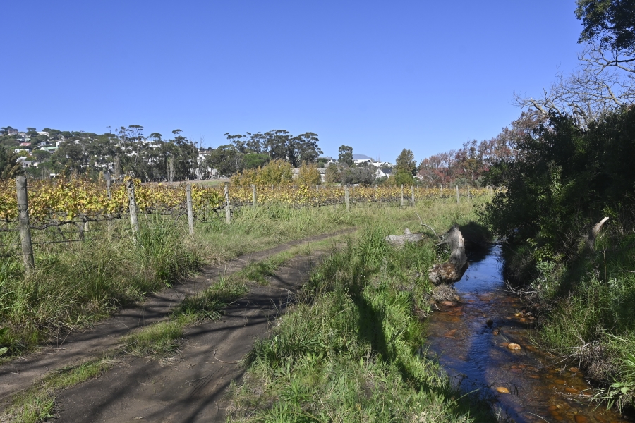 5 Bedroom Property for Sale in Stellenbosch Farms Western Cape